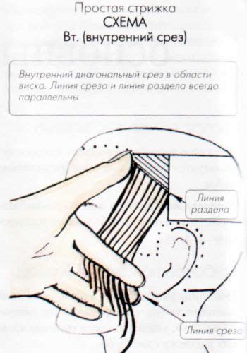 Стрижка по одной длине: зачем?