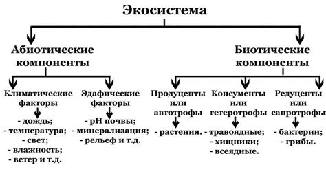 Структура и компоненты зависимой зоны