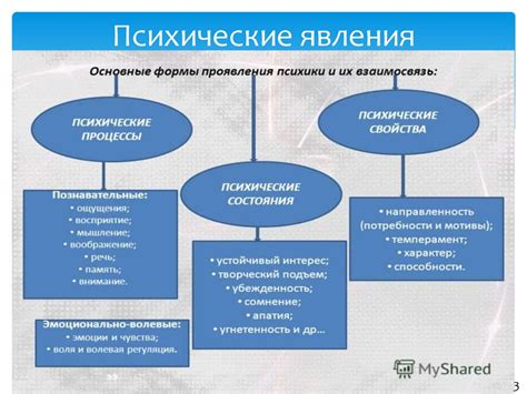 Структура психических процессов