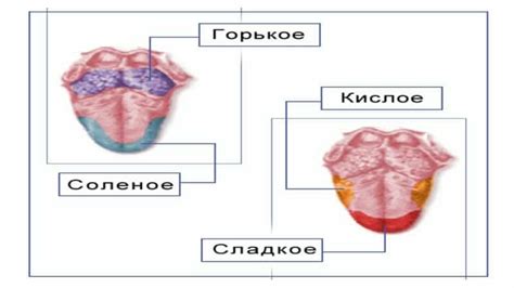 Структура языка серого цвета