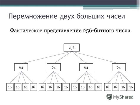 Структура 32-битного числа