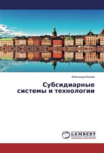 Субсидиарные сущности: определение и функция