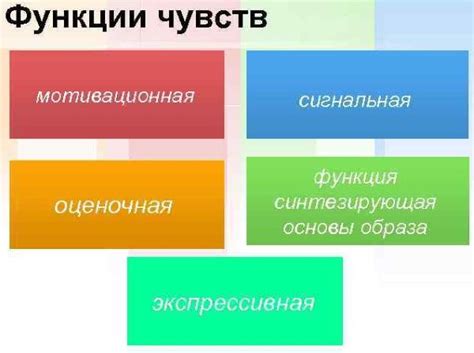 Субъективные переживания: суть и важность