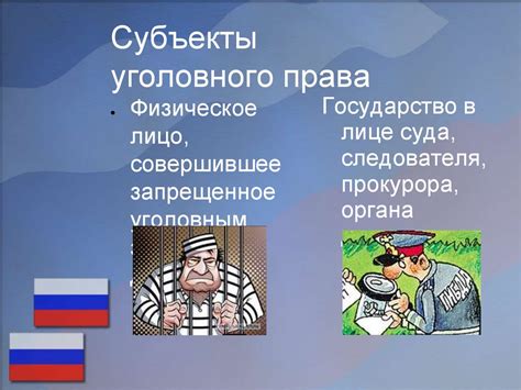 Субъекты уголовного права: основные понятия и роль