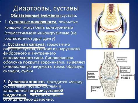 Суставные поверхности