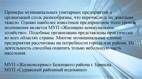 Существенные особенности организаций с государственным участием