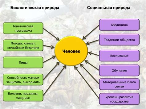 Сущность крохоборства и его проявления