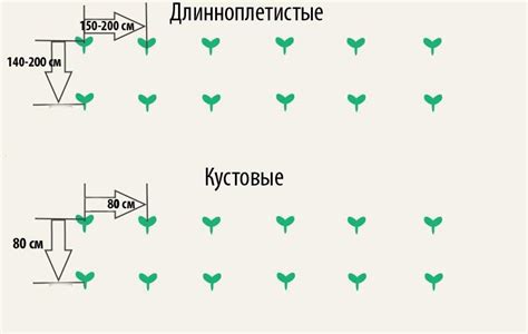 Схема посадки 70х30: основные принципы