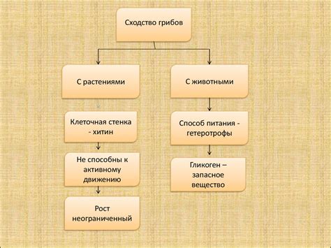 Сходства и различия в интерпретации снов с маленькими и крупными летающими грызунами