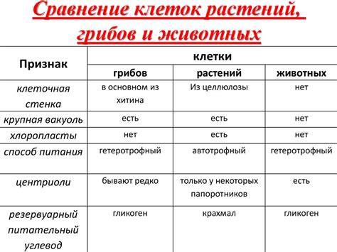 Сходства и различия с обычными близнецами