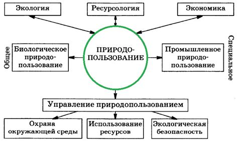 Схоластический: понятие и принципы