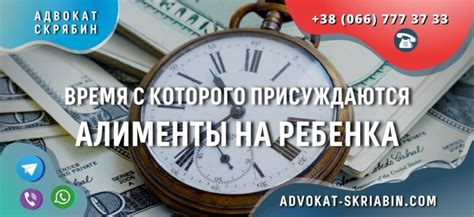 С какого момента начинаются рассчитывать сроки службы