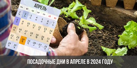 Таблица лунных дней в апреле 2024 года