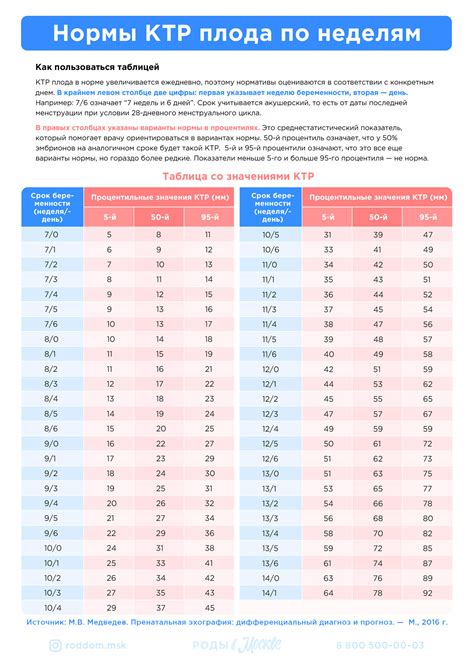 Таблица роста плода по неделям и дням