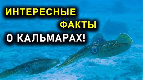 Таинственные сновидения о морских существах: каково их истинное значение?