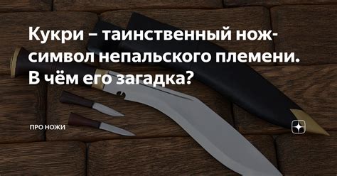 Таинственный символ сновидений: загадка черной свиньи