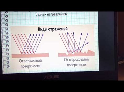 Тайна сновидений: почему мы видим предметы в урне?
