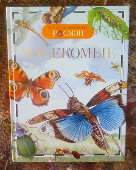 Тайные сообщения снов: коммуникация в удивительном мире насекомых