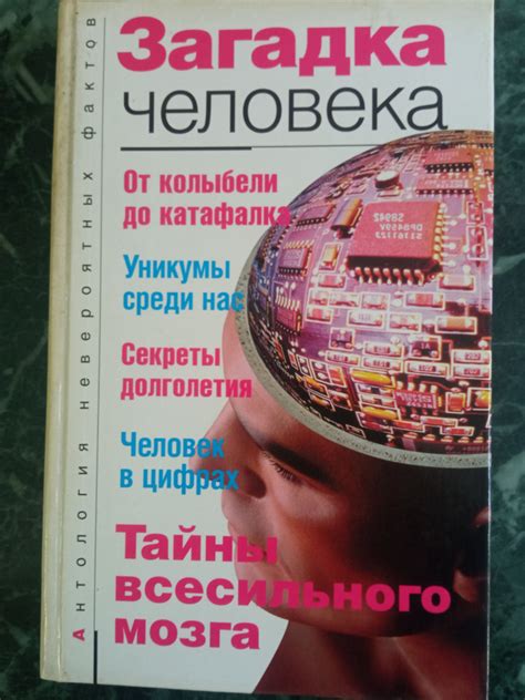 Тайны Мисс Х: невероятные загадки и их расследование