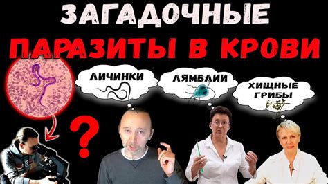 Тайны застывшего образа: таинственные образы кошки и крови