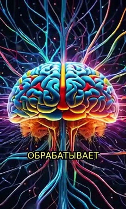 Тайны подсознания: что означают сны о разводке маленьких поросенков?