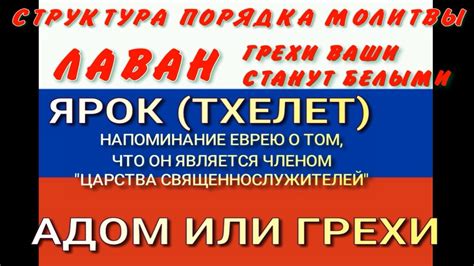 Тайны символики: сон о десне, лишенной мудрости