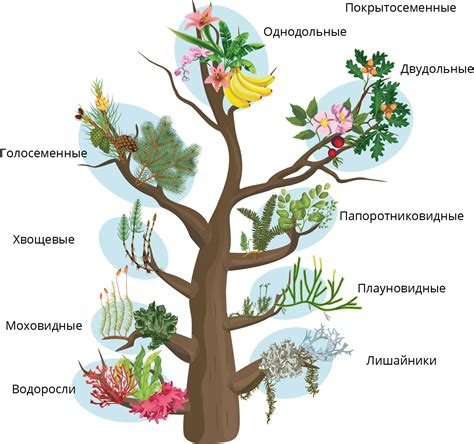 Таксономия и систематика растений