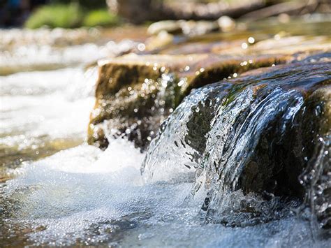 Тема: Значение сна о путешествии через живописно текучие воды
