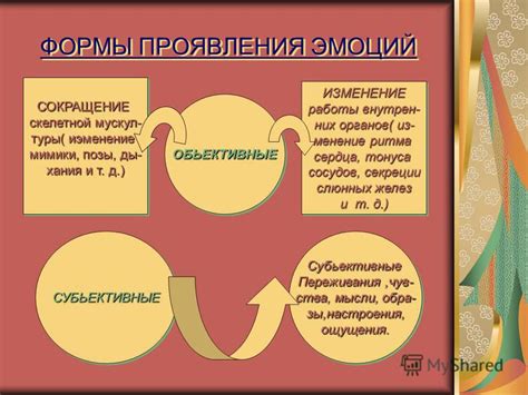 Тема 1: Вспоминания и эмоциональные переживания