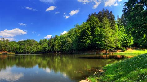 Тема 2: Речка с мутной водой - предзнаменование