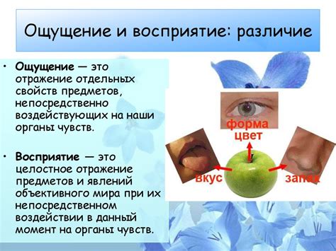 Тема 3: Внутренние ощущения и интуиция