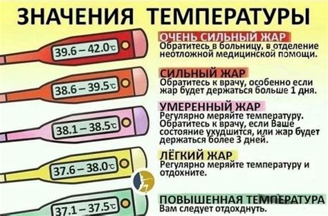 Температура тела 36,2 у взрослого днем