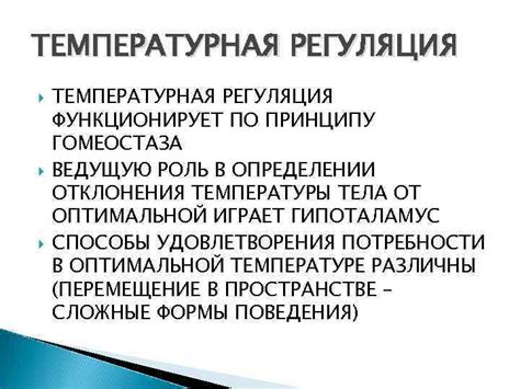 Температурная регуляция