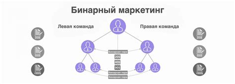 Теневой маркетинг: определение и суть