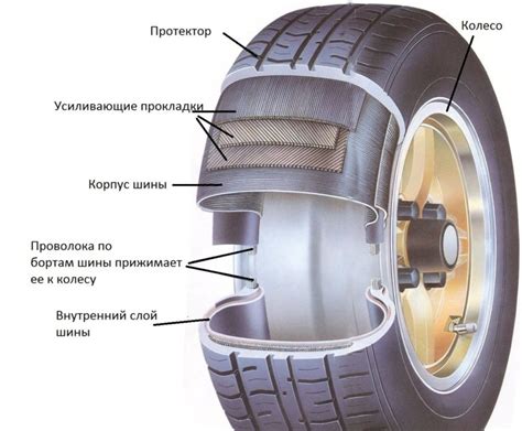 Терминология и конструкция шин