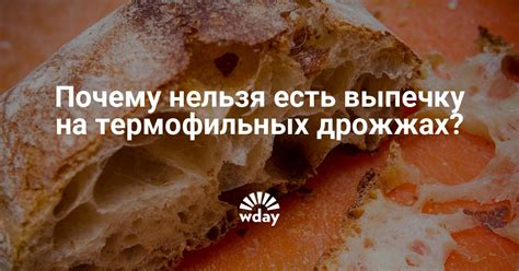 Термофильные дрожжи: новое открытие науки