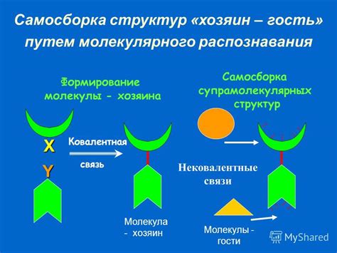 Техника распознавания молекулярного аромата