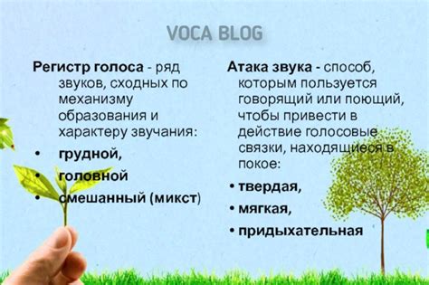 Техники исполнения: регистры голоса и эмоциональная передача