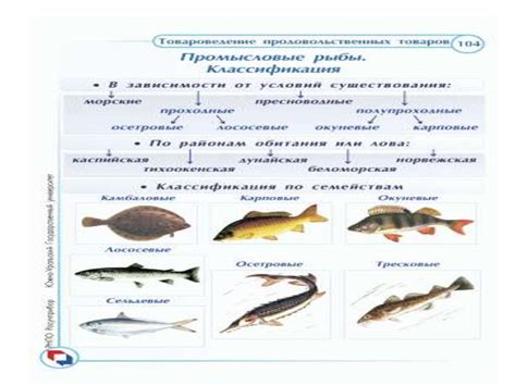 Технические аспекты проходной рыбы