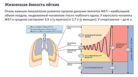 Технический аспект прослушивания легких с жестким дыханием