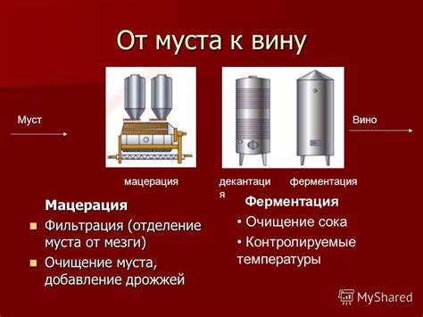 Технологии производства: отбор и обработка урожая, ферментация и выдержка напитка