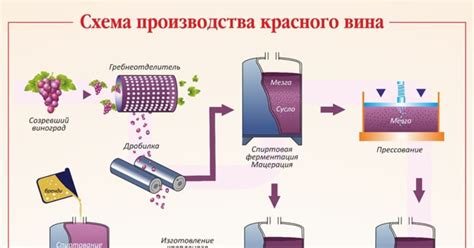 Технологии производства насыщенного вина