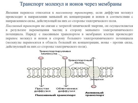 Технология производства супердиффузионных мембран