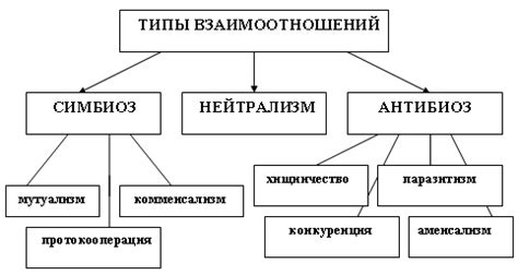 Типы взаимодействий: