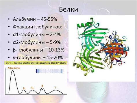 Типы глобулинов