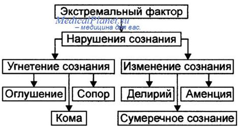 Типы расстройств сознания