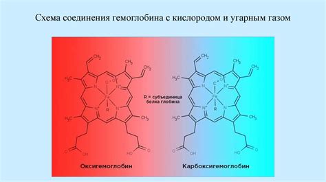 Токсическое воздействие