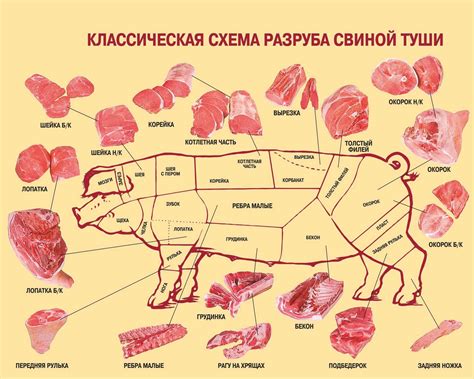 Толкование сновидения о разделке мяса для одинокой девушки: символика и значение