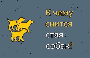 Толкование сновидения о стае собак для мужчины: основные аспекты