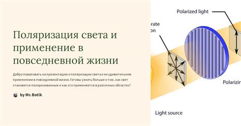 Толкование 5. Сыны света в повседневной жизни